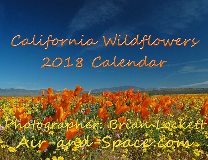 Lockett Books Calendar Catalog: California wildfowers